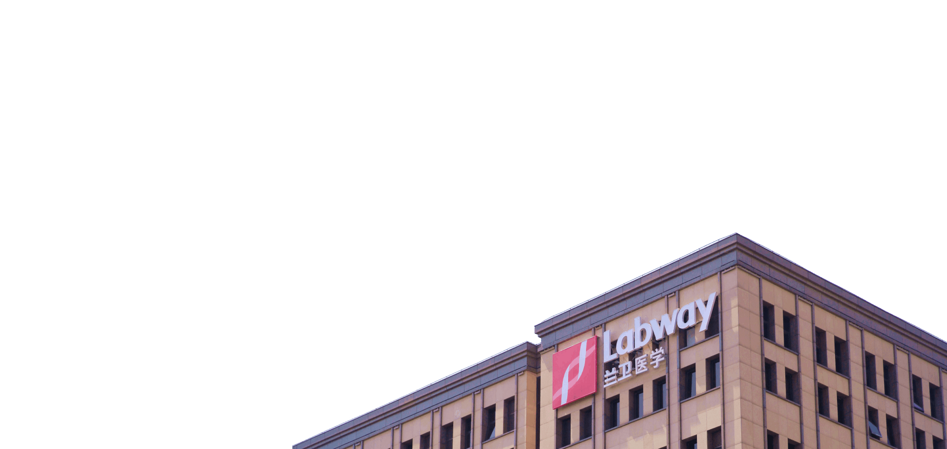 ����ɼ��������