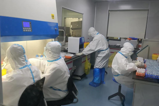 1608015419708228.png ÊØ»¤3.png