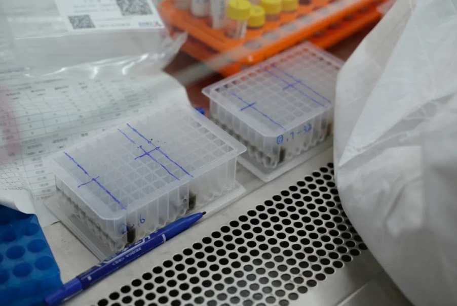 1610428917165272.png image.png