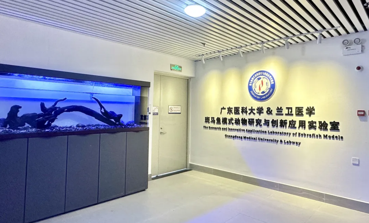 1704271170581745.png image.png